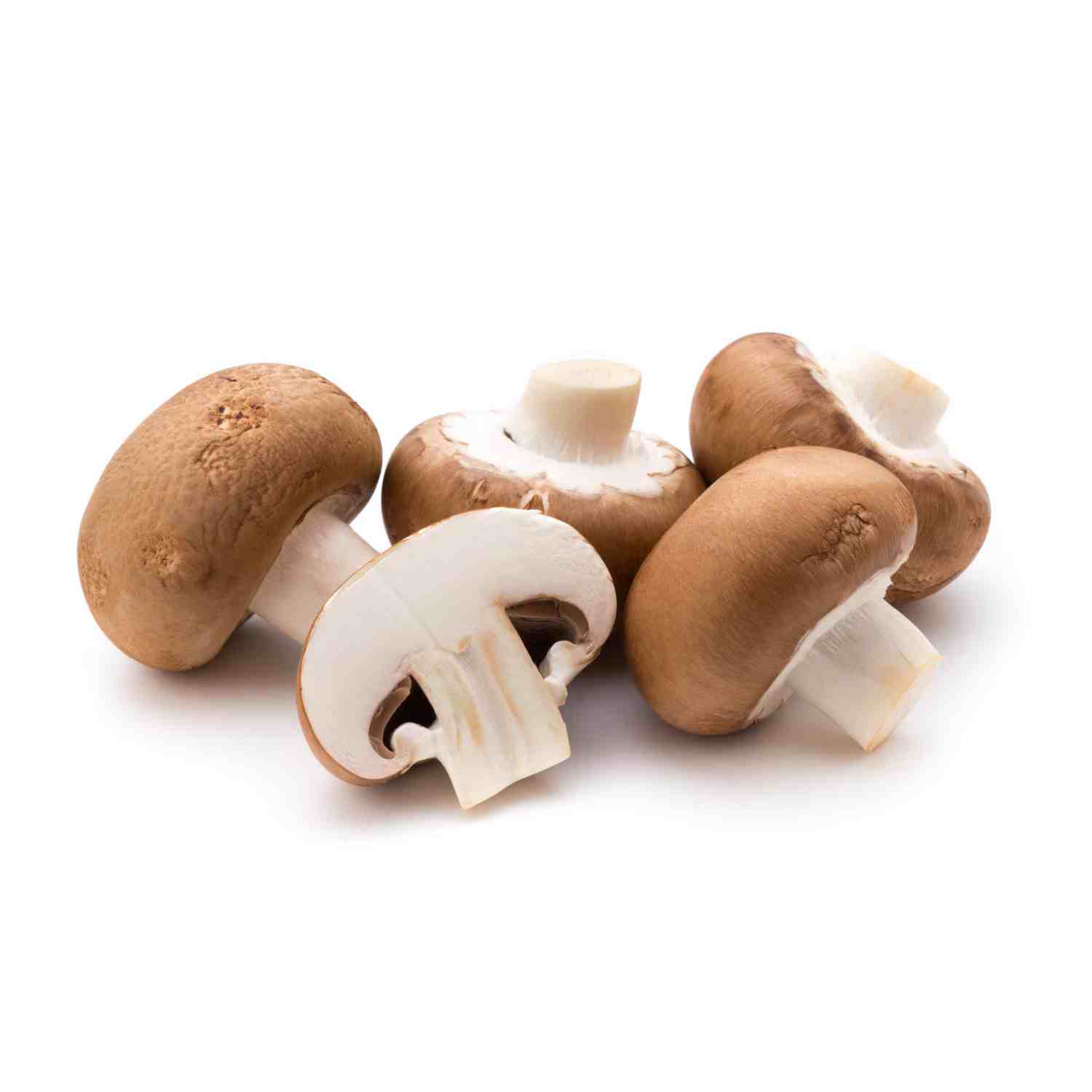Funghi